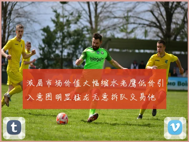 浓眉市场价值大幅缩水老鹰低价引入意图明显猛龙无意拆队交易他