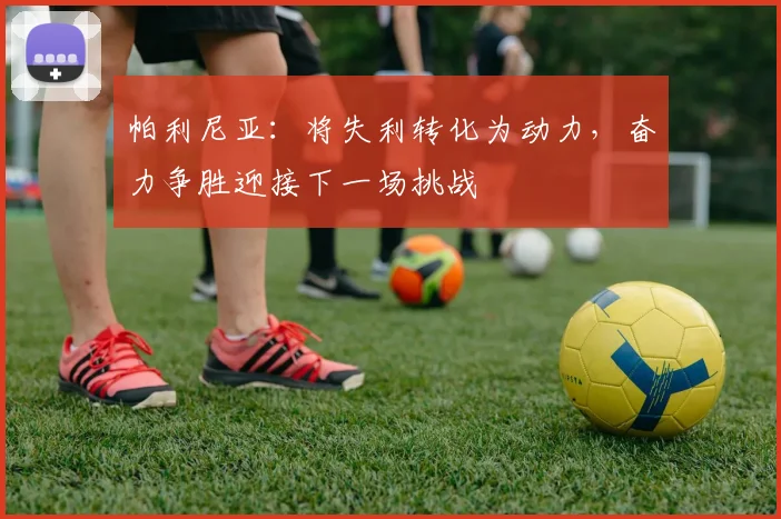 帕利尼亚：将失利转化为动力，奋力争胜迎接下一场挑战